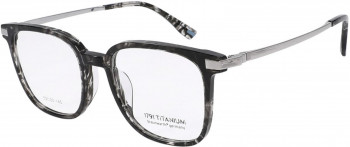 Fassung Titanium/Acetat